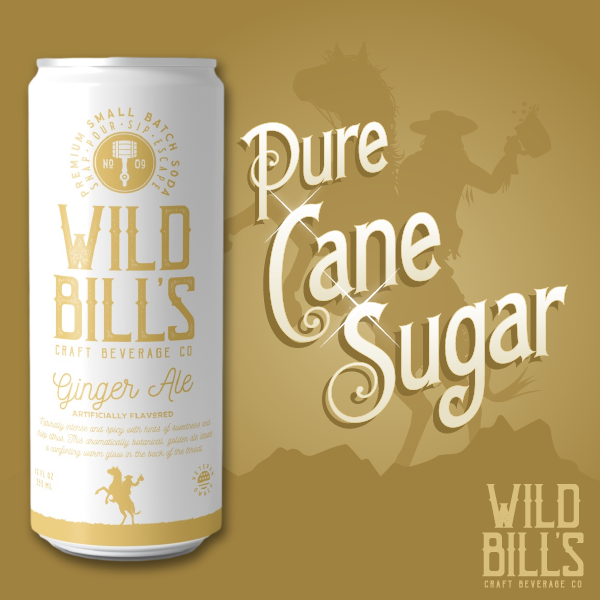Ginger Ale - Premium Cane Sugar Soda 12 oz Can