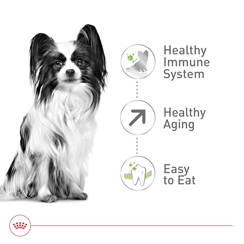 Royal Canin X-Small Aging 12+ Dry Dog Food, 2.5 lb bag