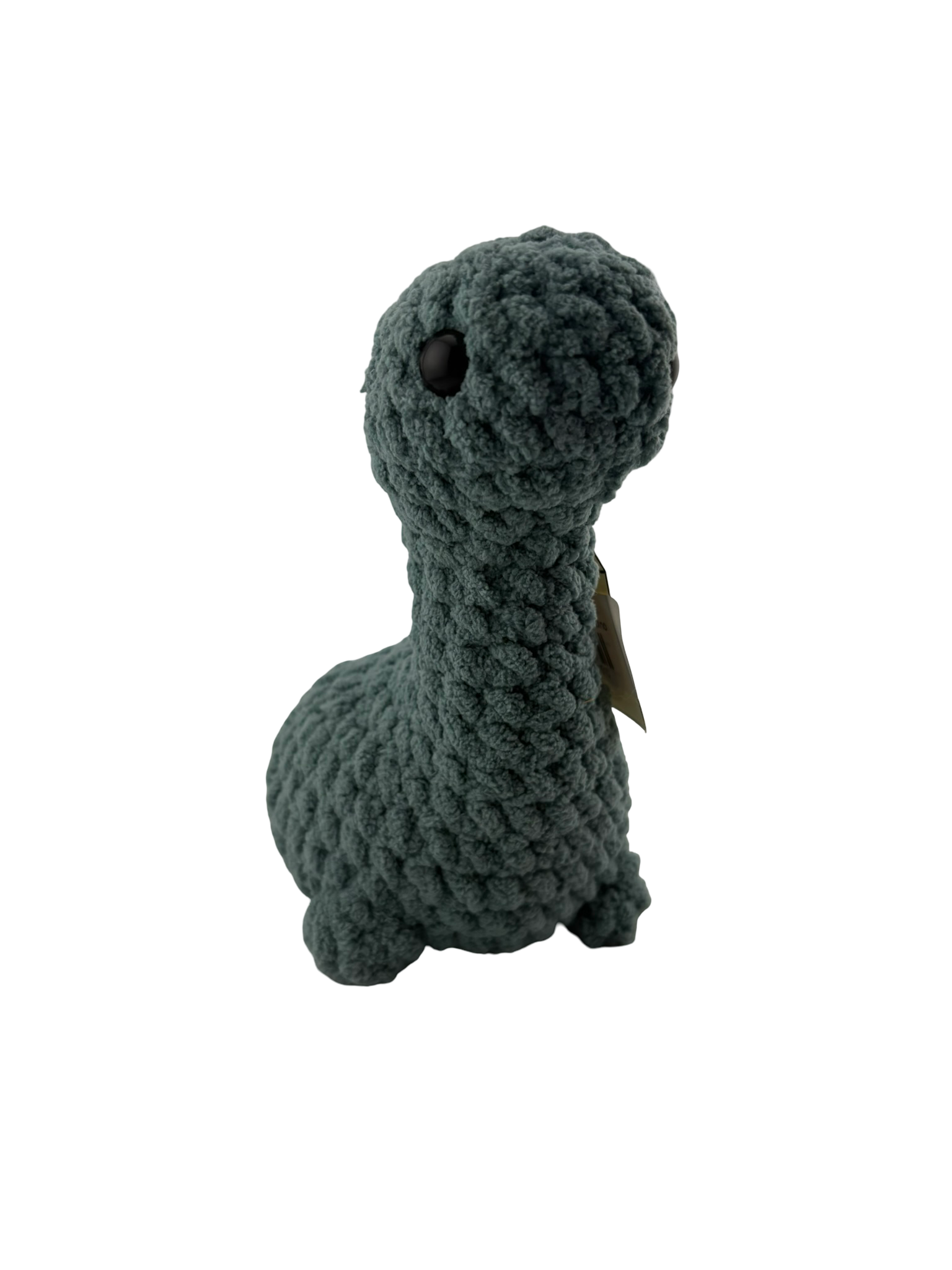 Crazy Craft Ladies Dino