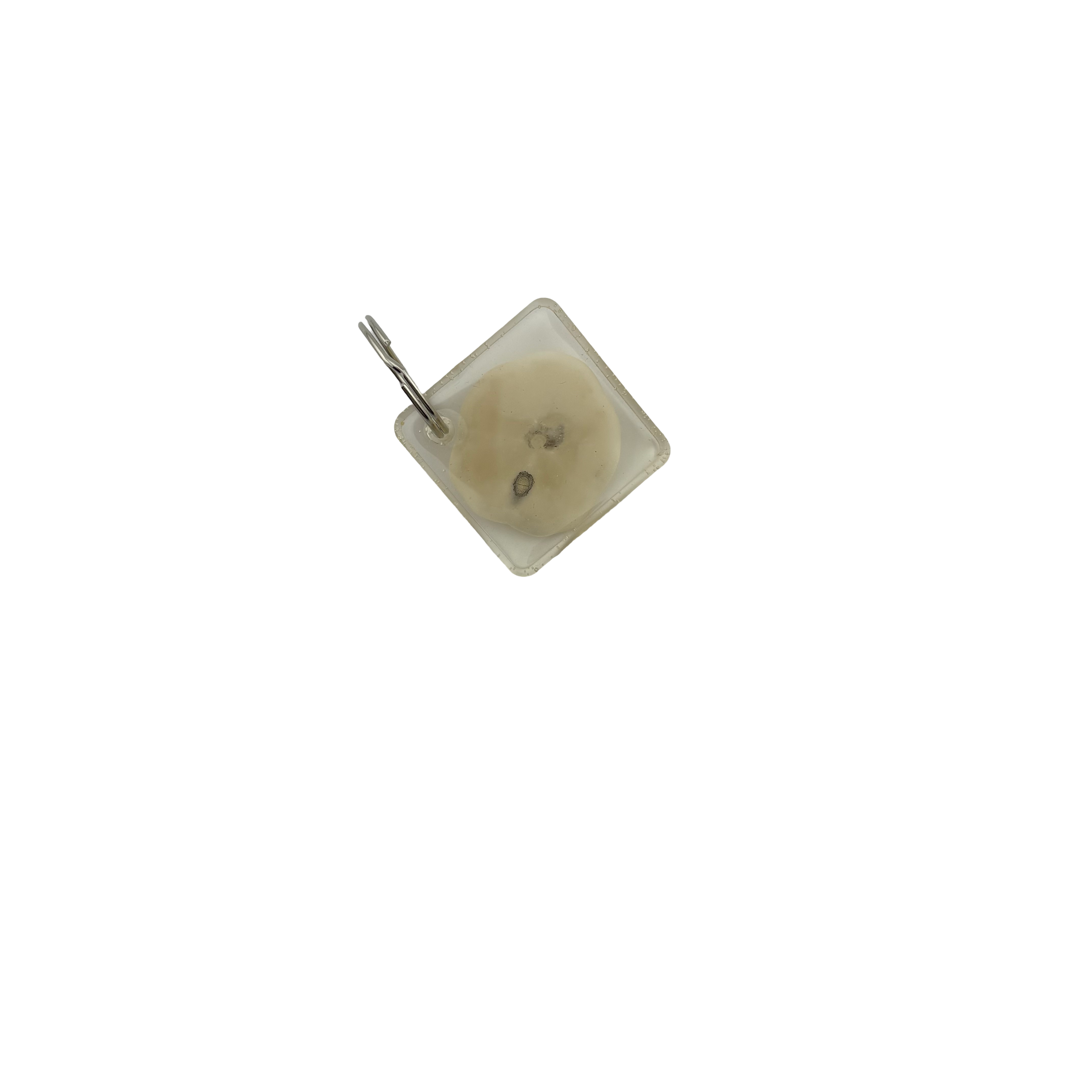EVL Epoxy Keychain