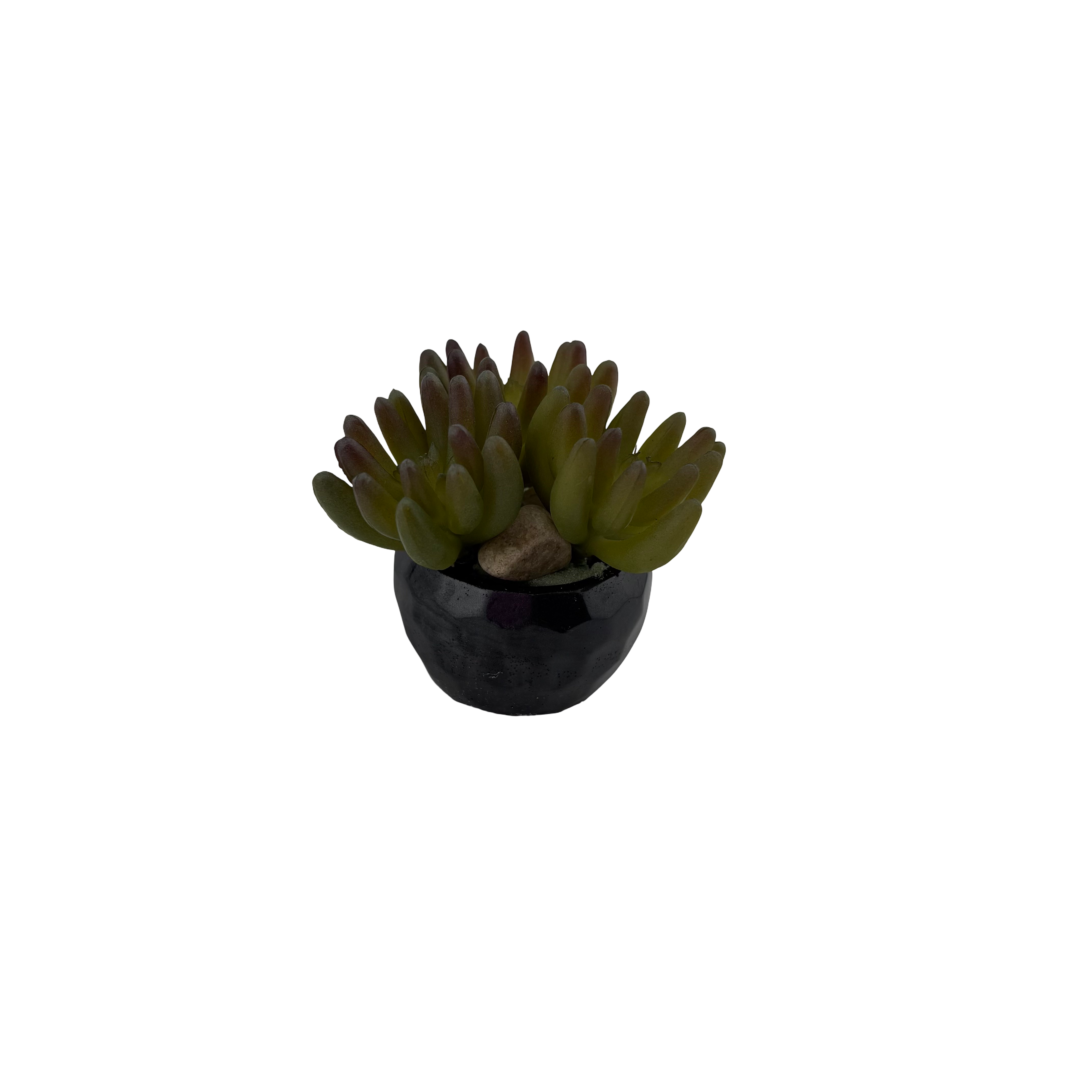 EVL Epoxy Artificial Succulent