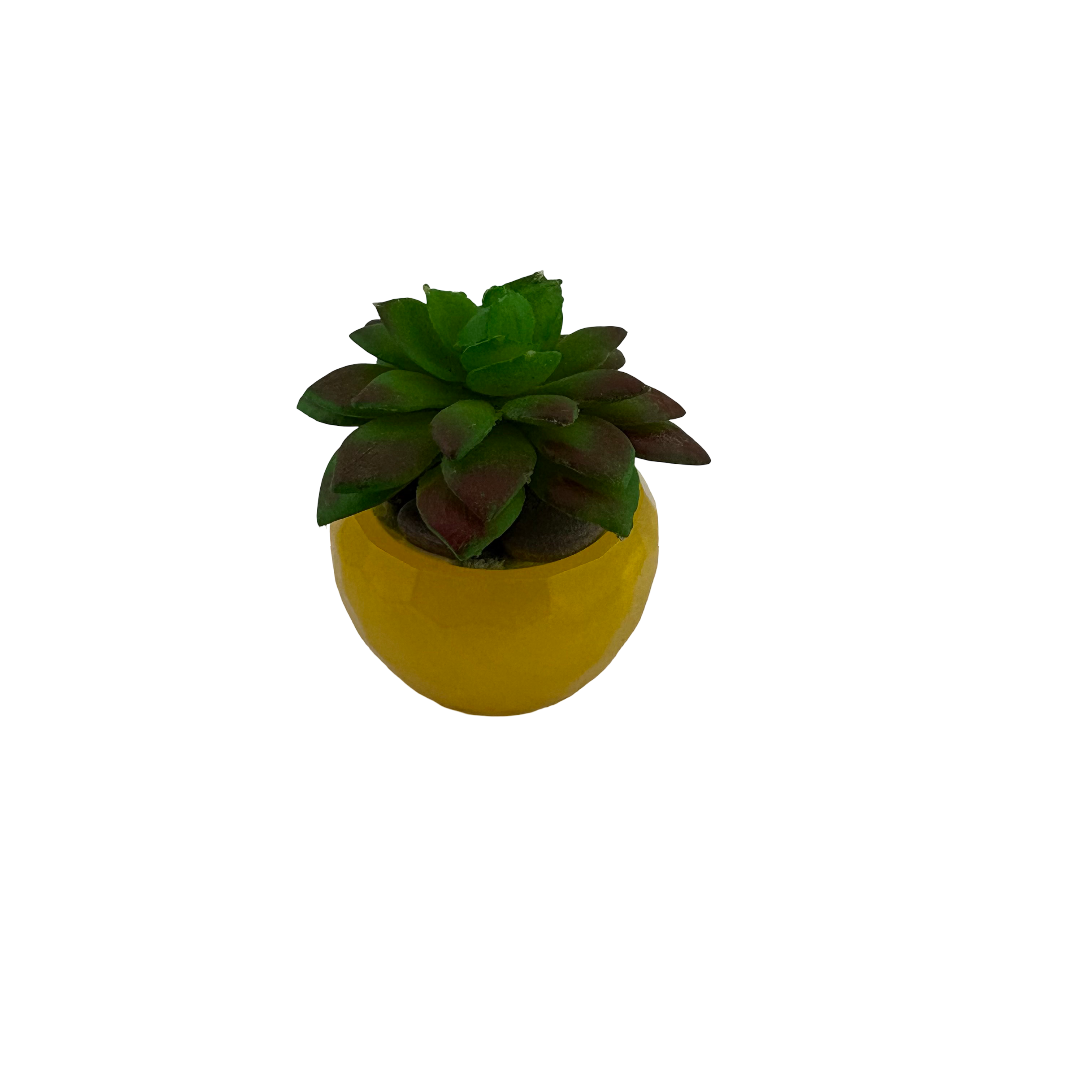 EVL Epoxy Artificial Succulent