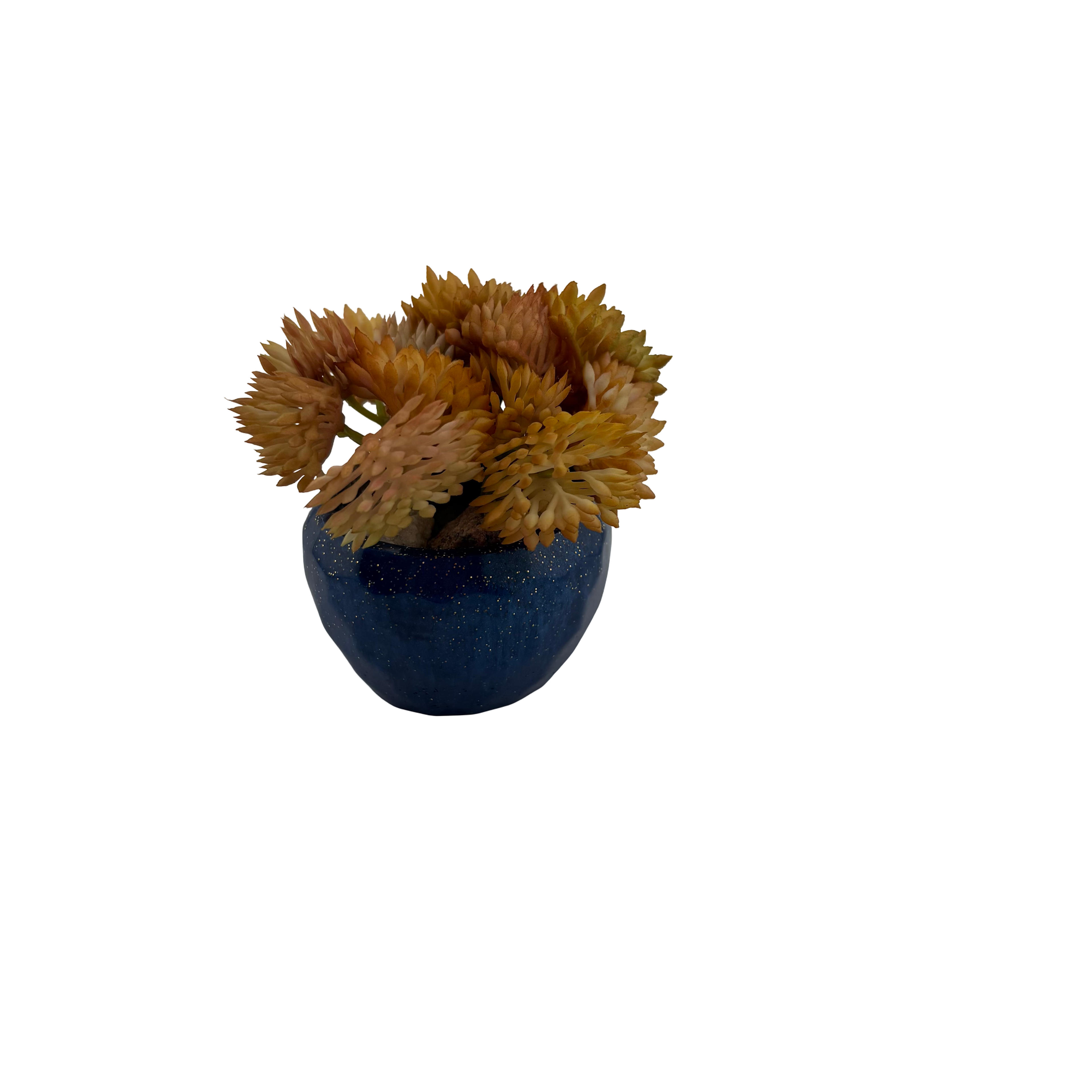 EVL Epoxy Artificial Succulent
