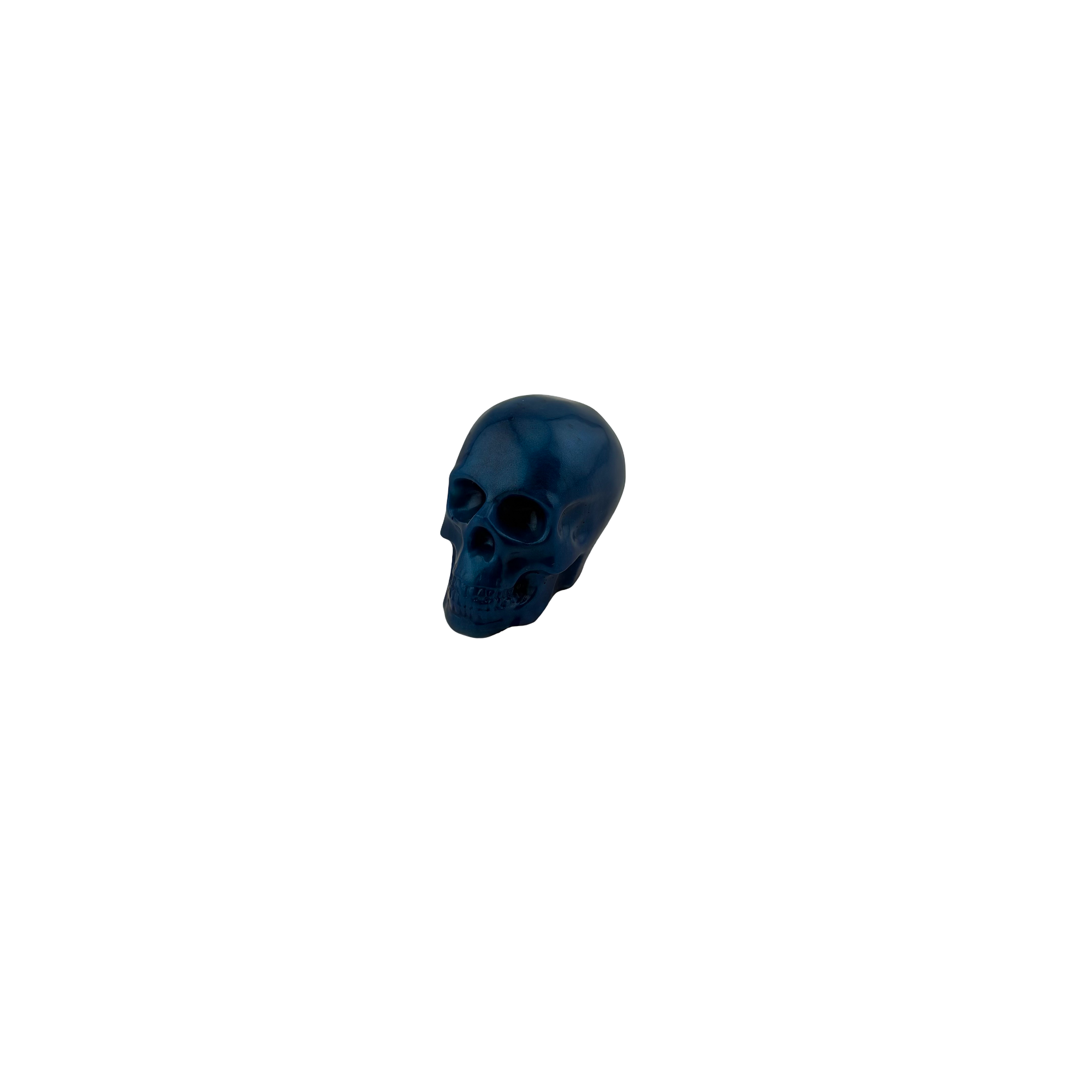 EVL Epoxy Small Skull