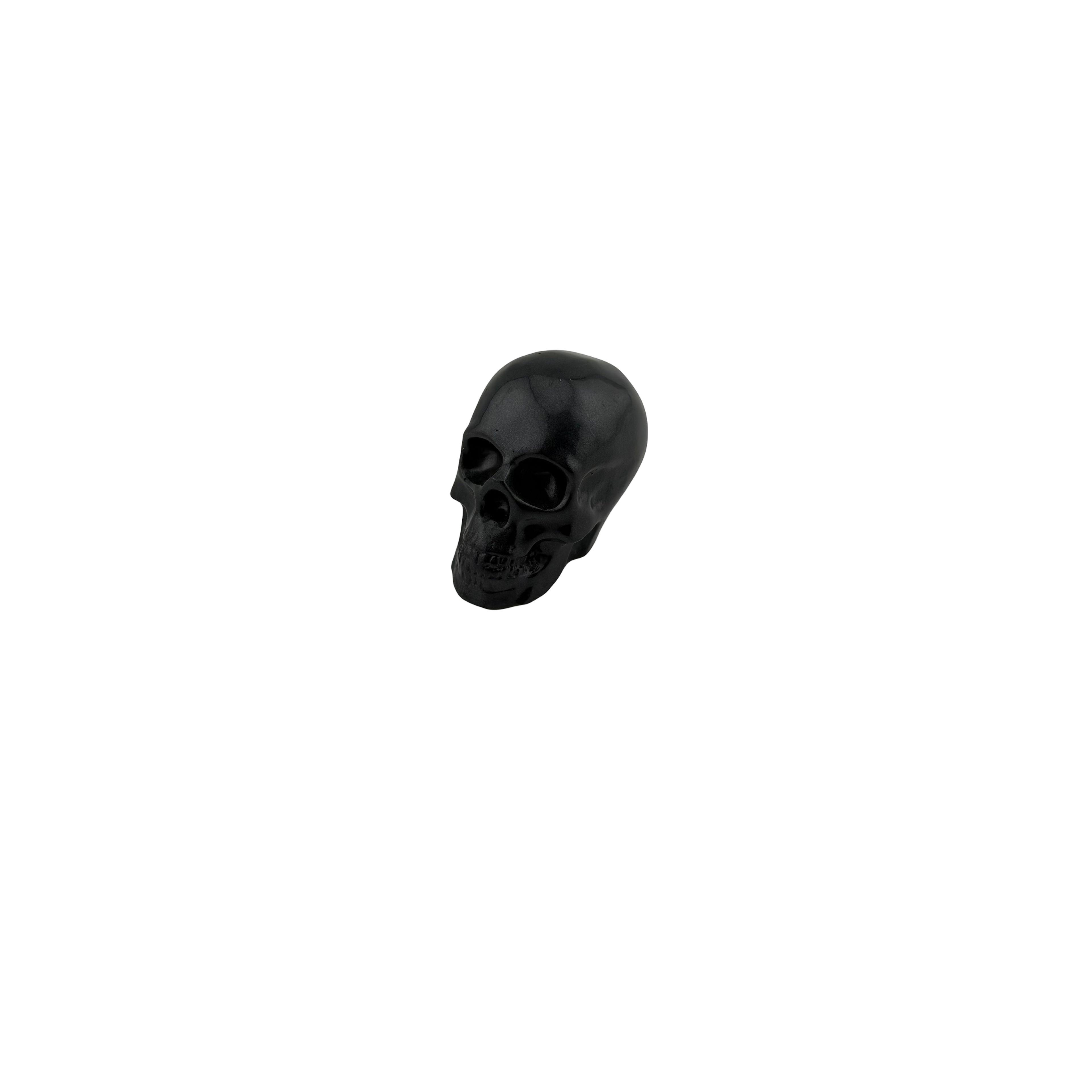 EVL Epoxy Small Skull