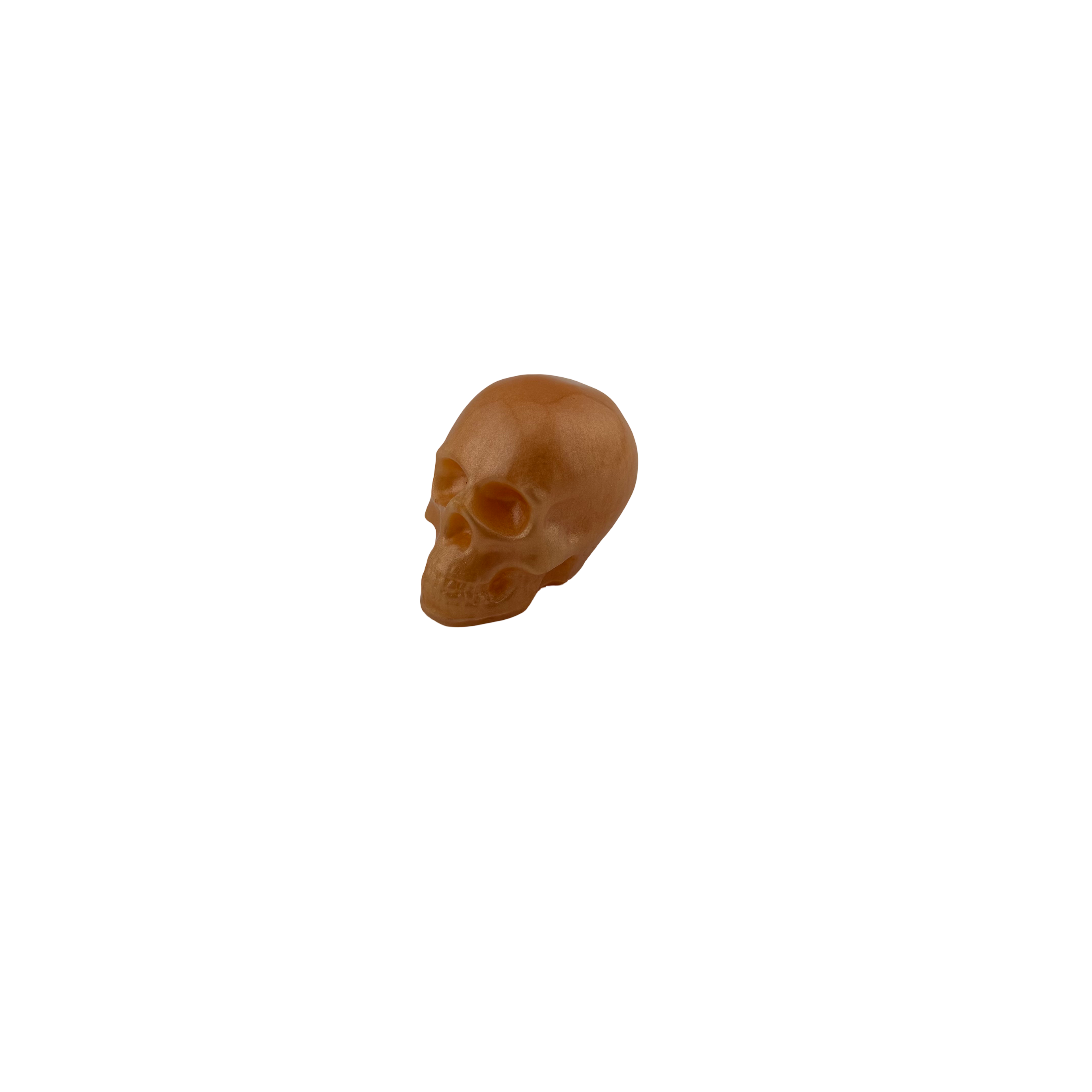 EVL Epoxy Small Skull