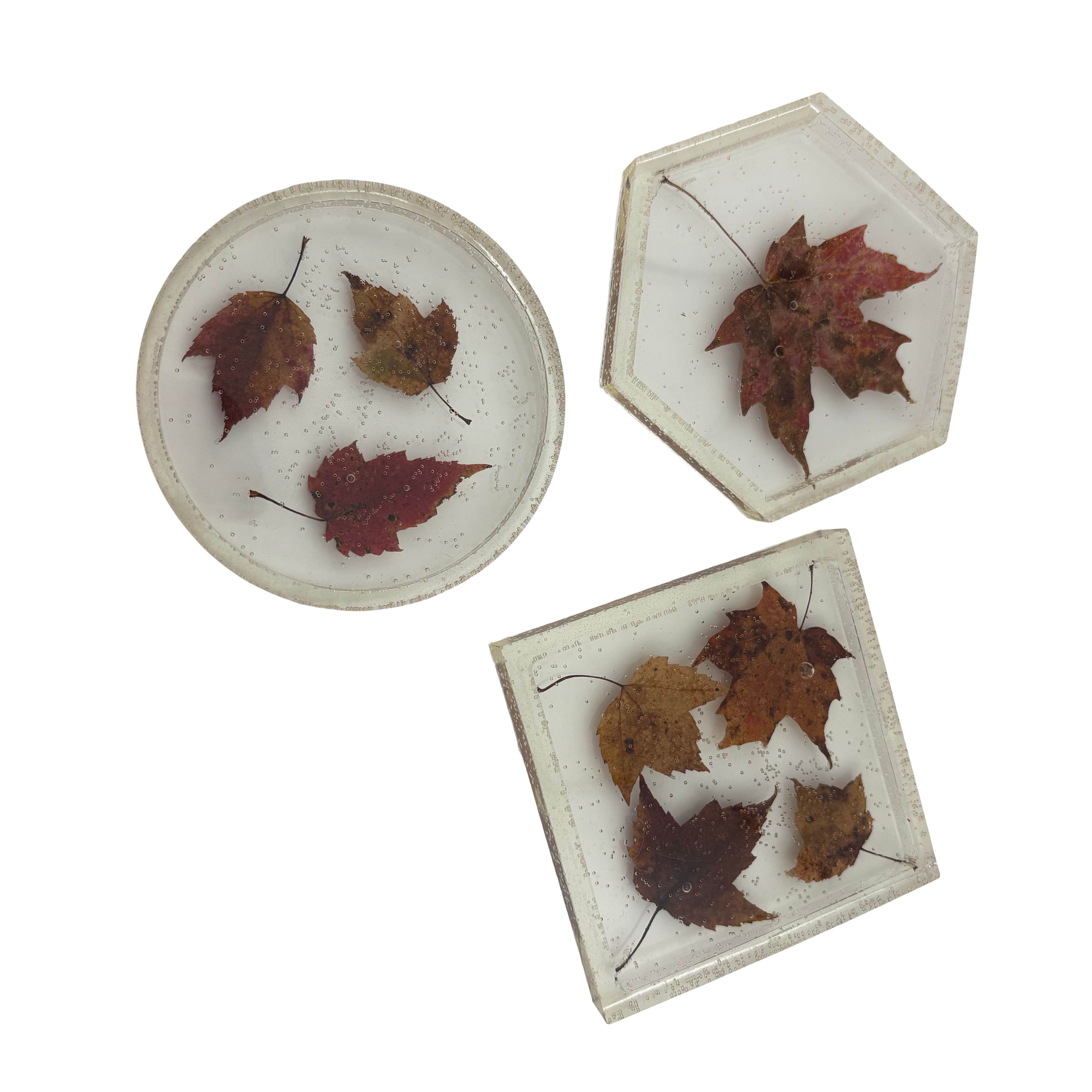 EVL Epoxy Factory Reject Leaf Coaster Set of 3