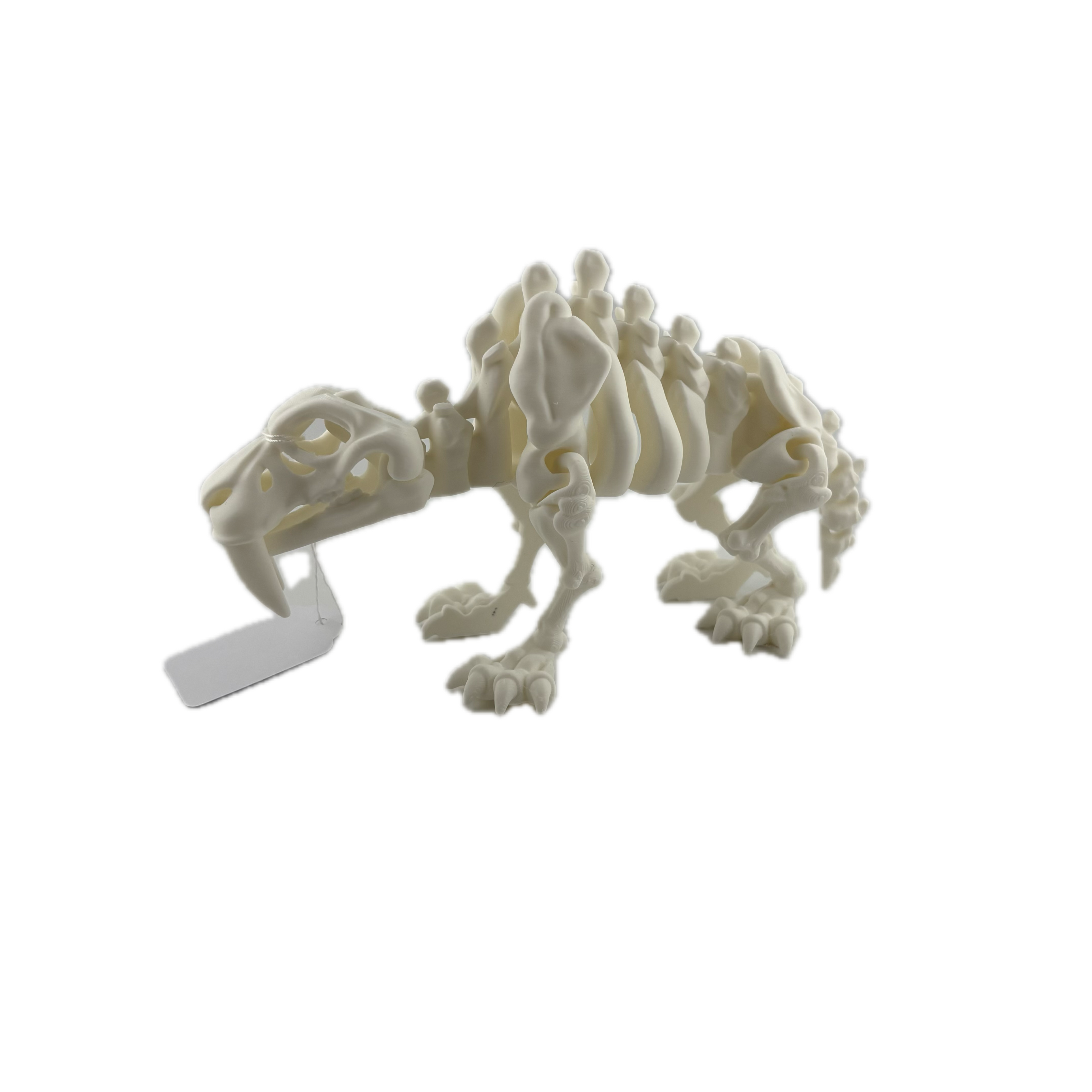 S3D Articulated Dinosaur Fossil Toy