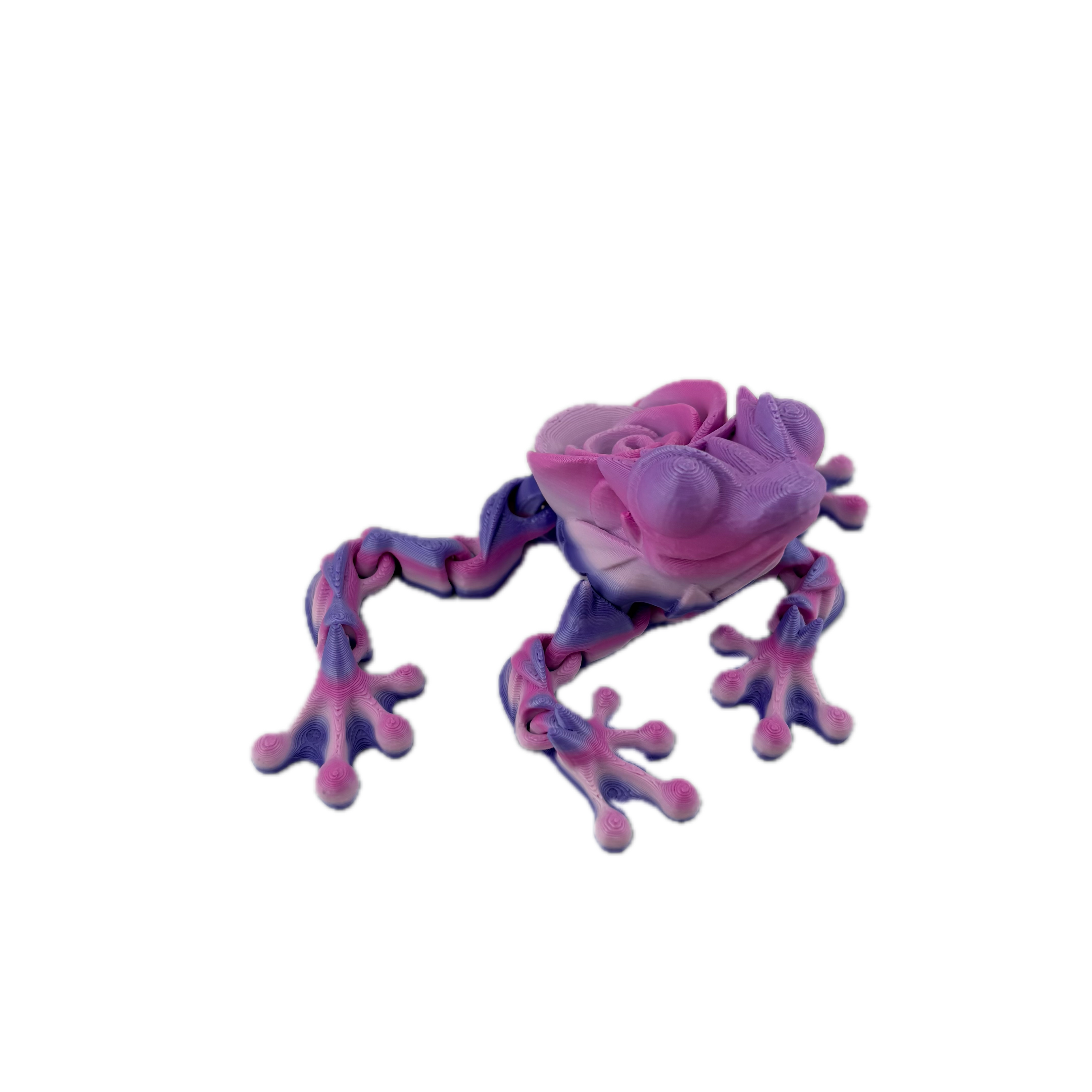 S3D Articulated Rose Frog