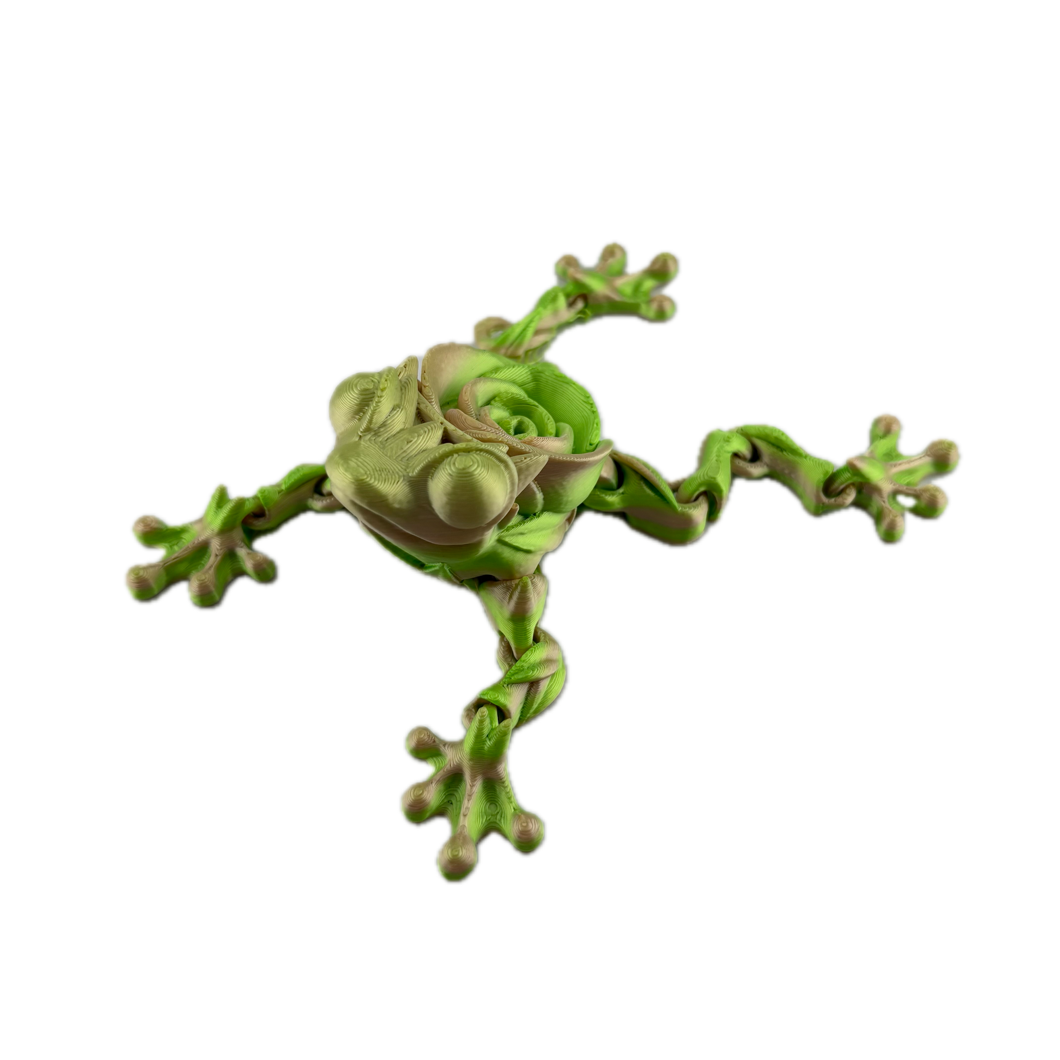 S3D Articulated Rose Frog