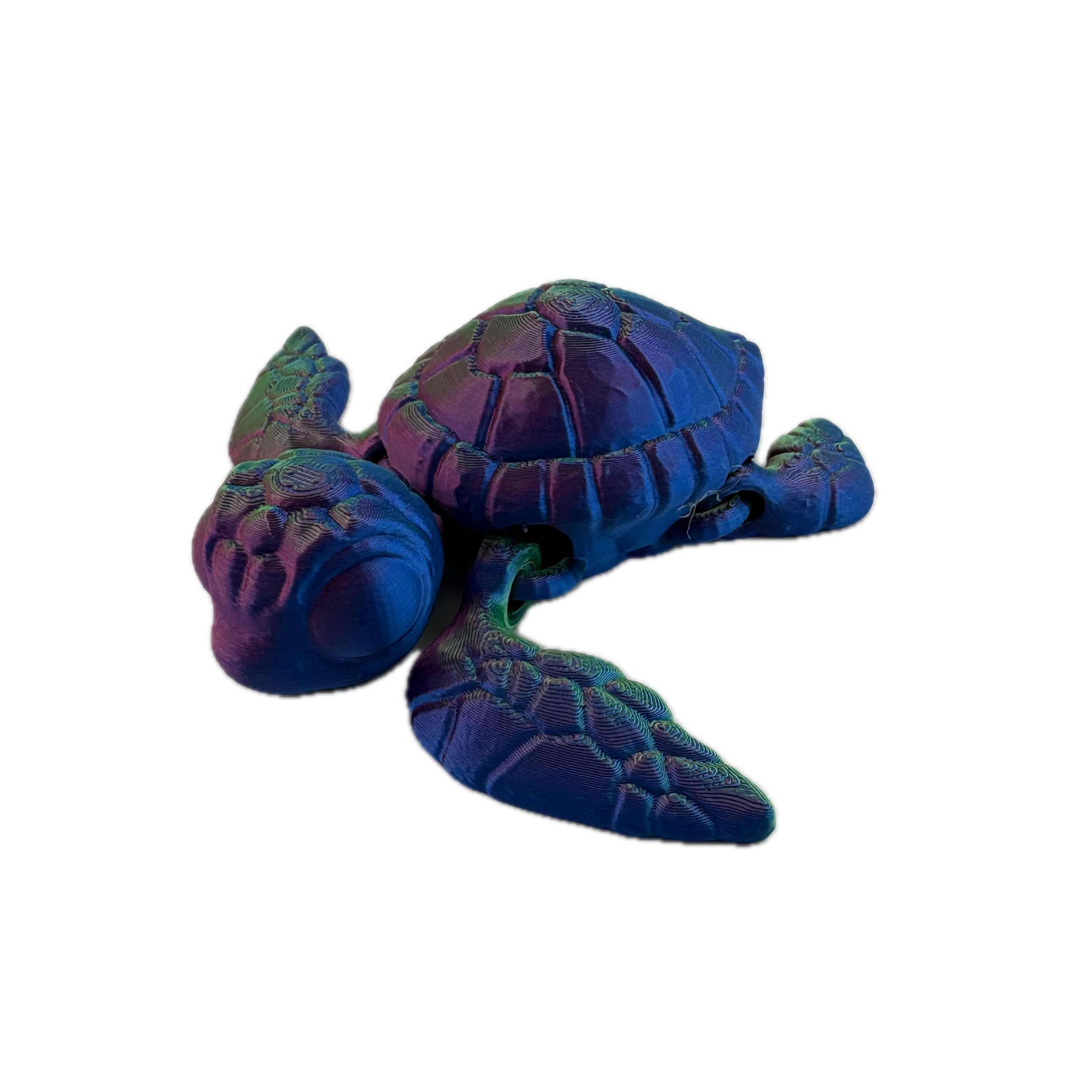 S3D Articulated Sea Turtle