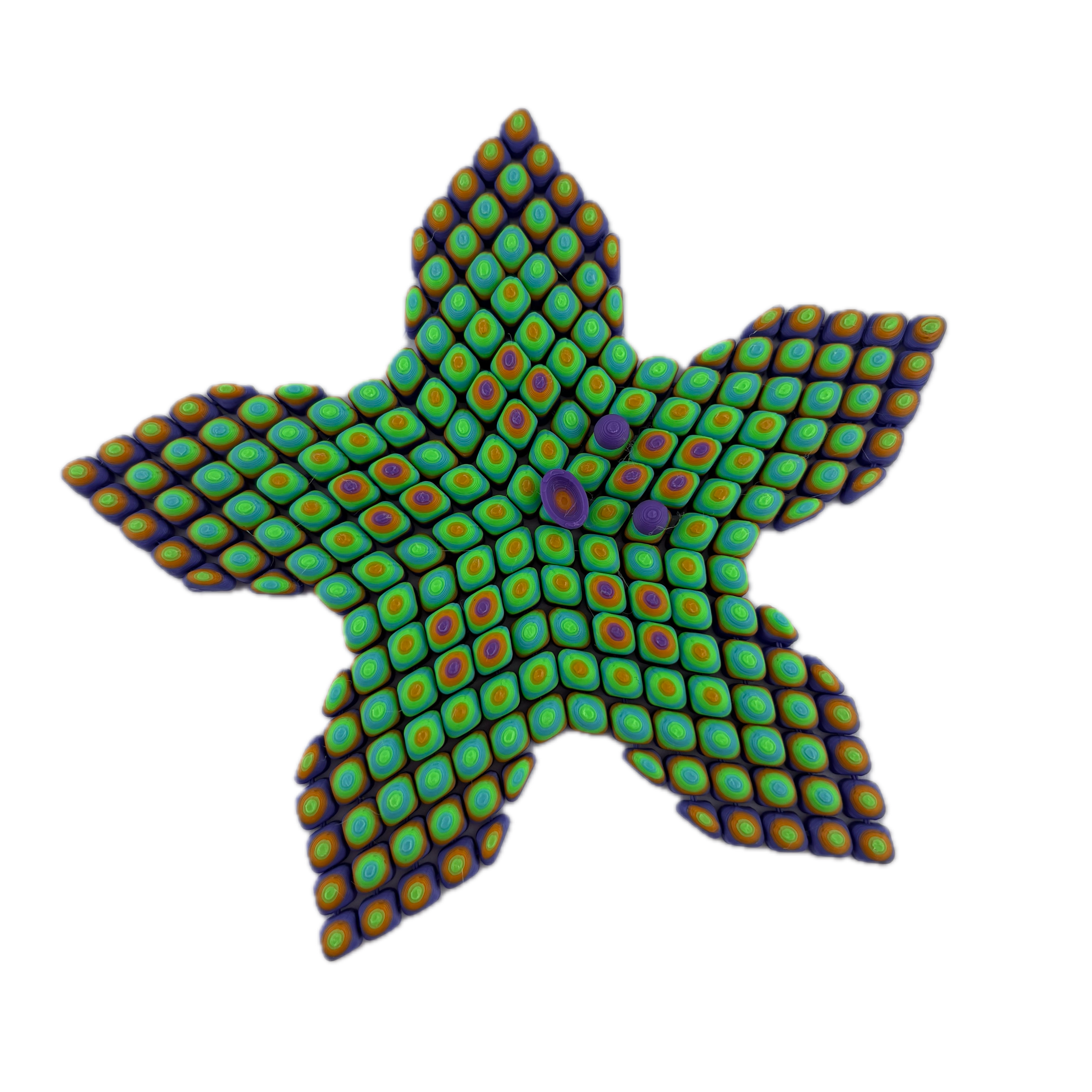 S3D Starfish Sensory Fidget Toy