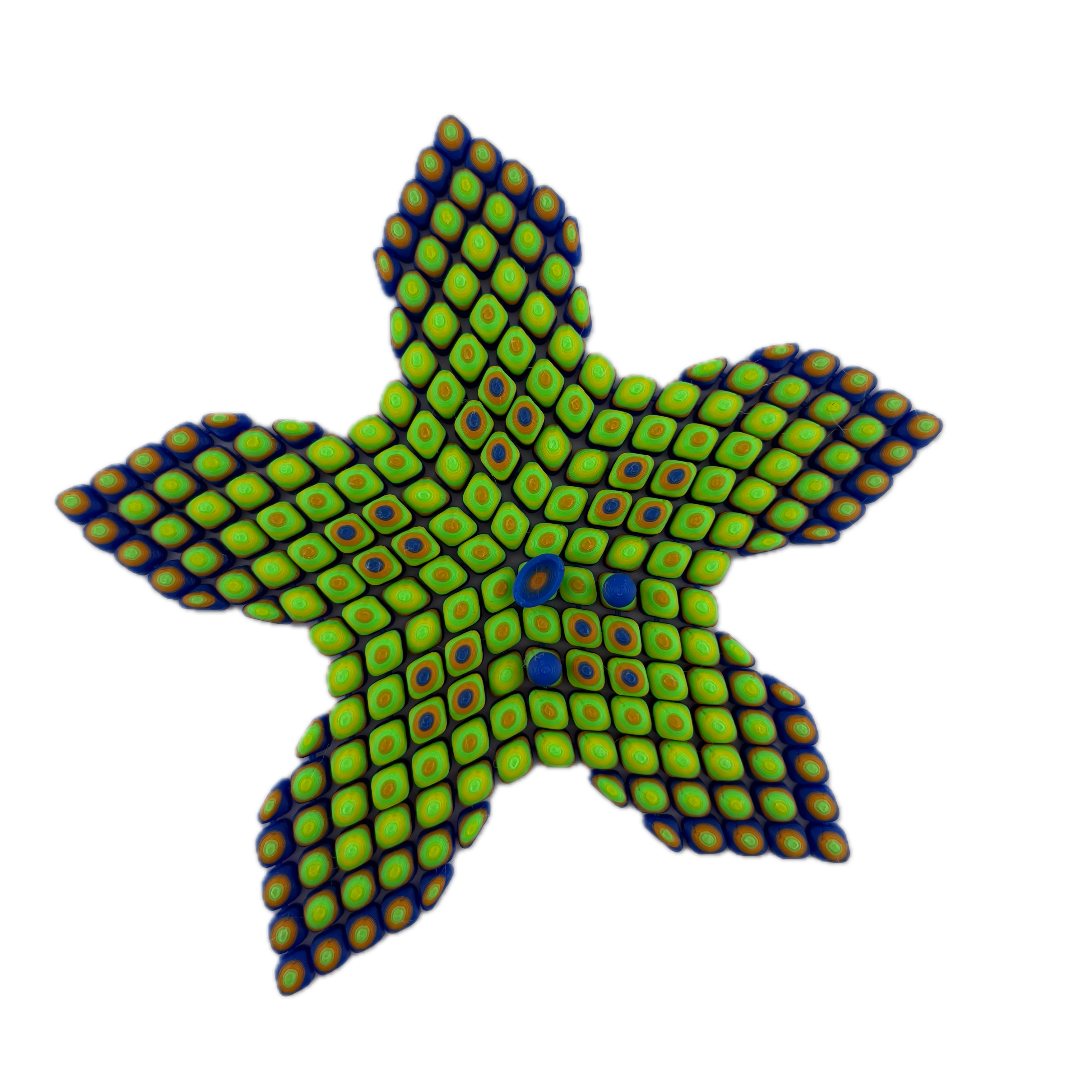 S3D Starfish Sensory Fidget Toy