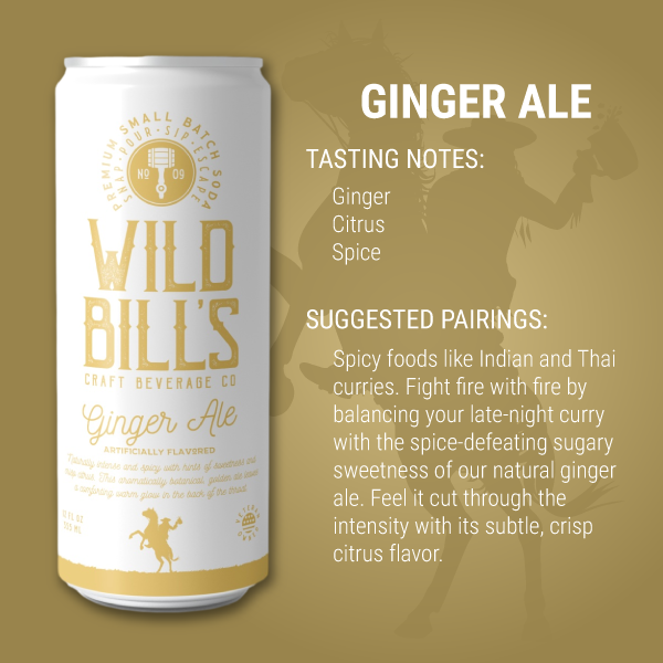 Ginger Ale - Premium Cane Sugar Soda 12 oz Can