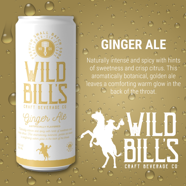 Ginger Ale - Premium Cane Sugar Soda 12 oz Can